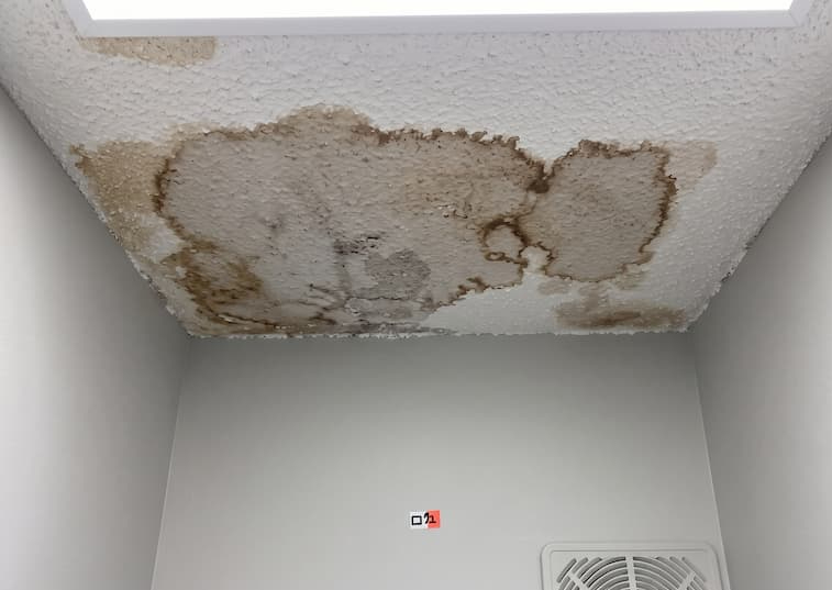 Water damage drywall repair
